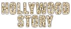 Hollywood story
