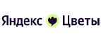 Яндекс Цветы