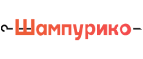 Шампурико